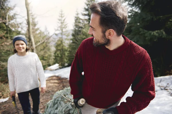 Vater Und Sohn Sägen Den Weihnachtsbaum — Stockfoto