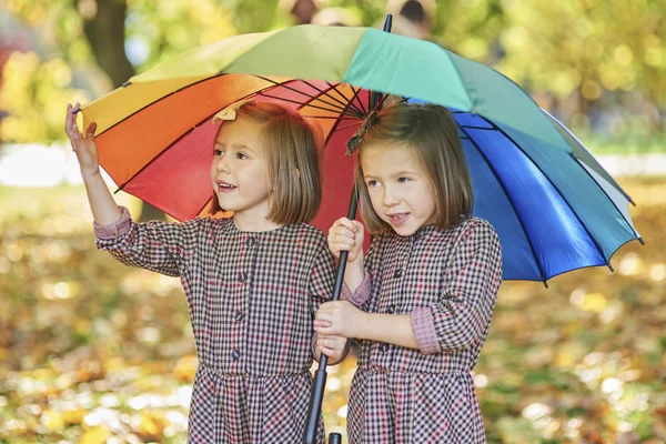 Tweelingen Zoek Naar Beschutting Met Paraplu — Stockfoto