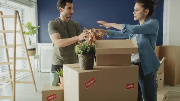 Video Pareja Empacando Cosas Cajas Mientras Mueve Casa Fotografía Con — Vídeos de Stock