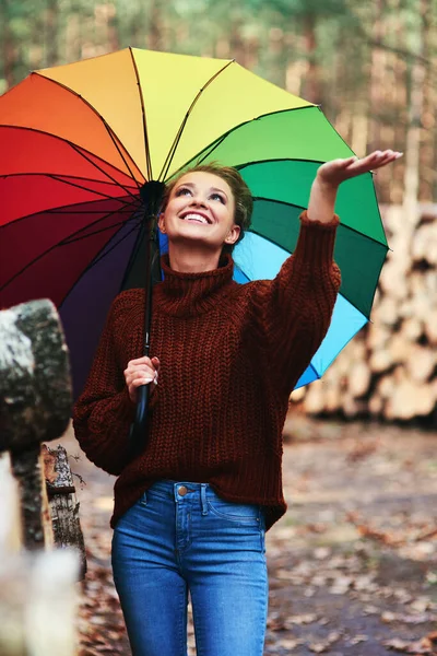 Sonbahar Ormanında Şemsiyeli Genç Bir Kadın — Stok fotoğraf