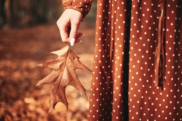 Dettaglio Della Donna Irriconoscibile Che Tiene Foglia — Foto Stock