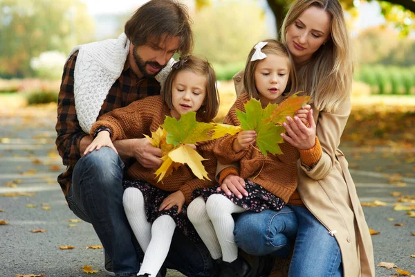 Cueillette Feuilles Famille Dans Parc Automne — Photo