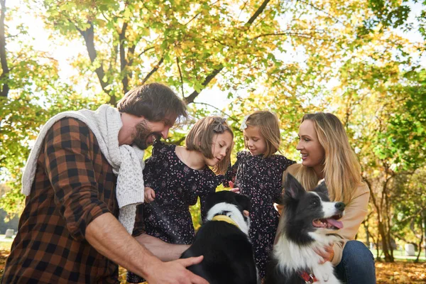 Família Acariciando Seus Lindos Cães — Fotografia de Stock