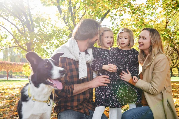 Famiglia Loro Cane Nel Bosco — Foto Stock