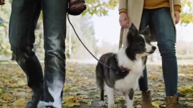 Sonbahar parkında tasmalı çift ve köpek