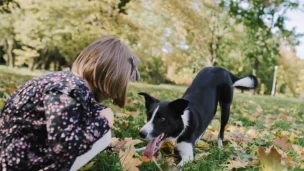 Handheld View Little Girl Playing Dog Outdoors — Stock Video