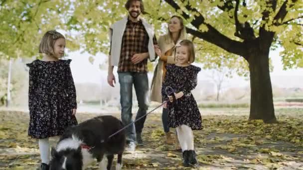 Familia Perro Paseando Parque Otoño — Vídeos de Stock