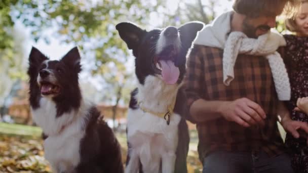秋林中的家庭与狗的手持视图 — 图库视频影像
