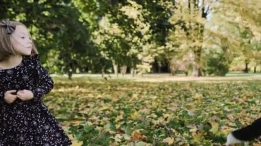 Temiz havada köpekle oynayan çocuğun el kamerası görüntüsü.