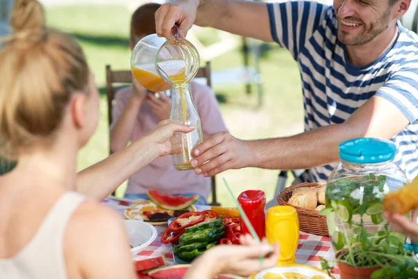 Family Celebrating Summer Picnic Together — Stock Photo, Image