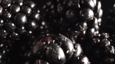 Mevsimlik böğürtlenlerin makro videosunu büyüt. 8K 'da kırmızı helyum kamerayla çekildi.