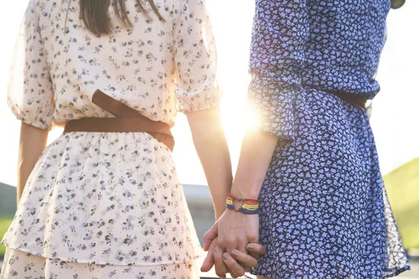 Vista Trasera Dos Mujeres Cogidas Mano Durante Atardecer — Foto de Stock