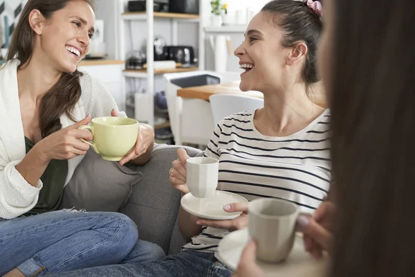 Three young females friends chatting over coffee