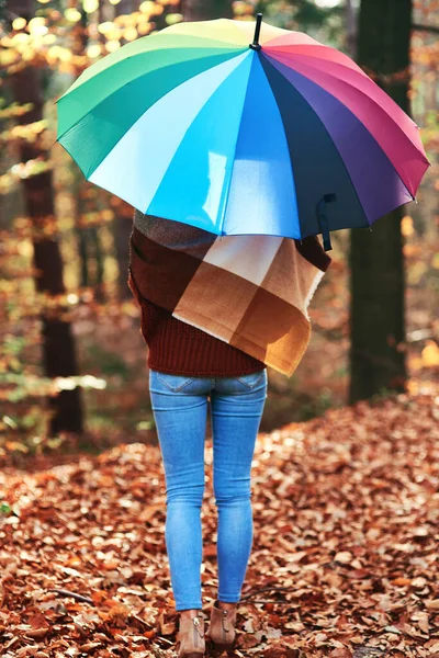 在秋天的森林里 你可以看到拿着雨伞的年轻女子 — 图库照片