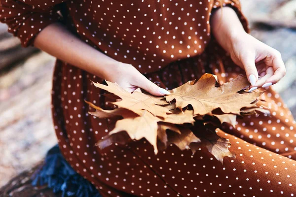 Nahaufnahme Einer Frau Die Herbstblätter Wald Pflückt — Stockfoto