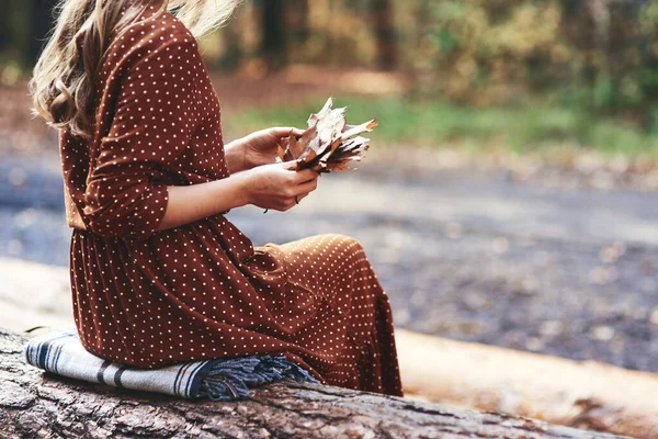 Woman Picking Autumnal Leaves Forest — Stock Photo, Image