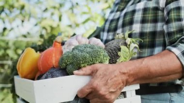 Çiftçinin mevsimlik sebzelerle dolu bir kutuyla gittiği video. 8K 'da kırmızı helyum kamerayla çekildi..