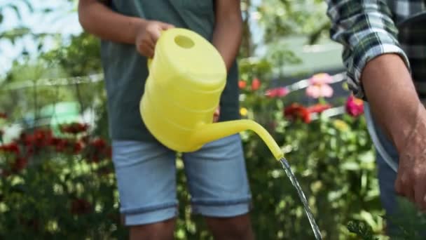 孙子用黄色水壶浇灌蔬菜的视频 用8K的红色氦相机拍摄 — 图库视频影像
