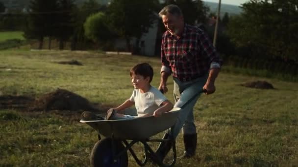 Videó Nagyapáról Ahogy Unokáját Vezeti Talicskában Naplementekor Lövés Red Hélium — Stock videók