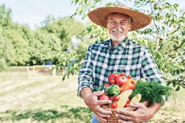 Retrato Agricultor Com Uma Cesta Cheia Legumes Sazonais — Fotografia de Stock