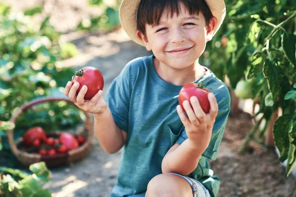 Retrato Niño Sonriente Sosteniendo Tomates Sus Manos — Foto de Stock