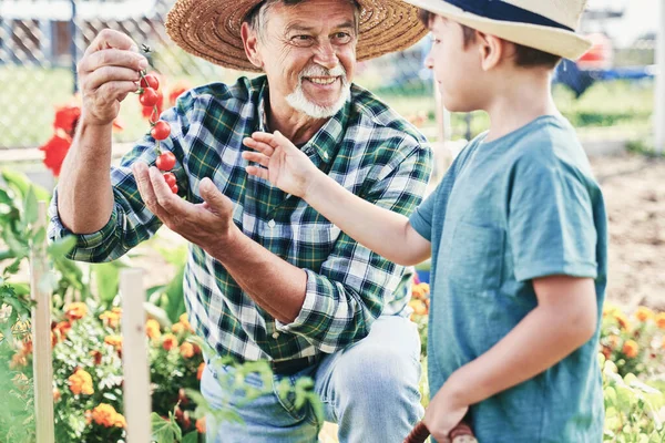 Abuelo Nieto Pasando Tiempo Una Tienda Comestibles — Foto de Stock