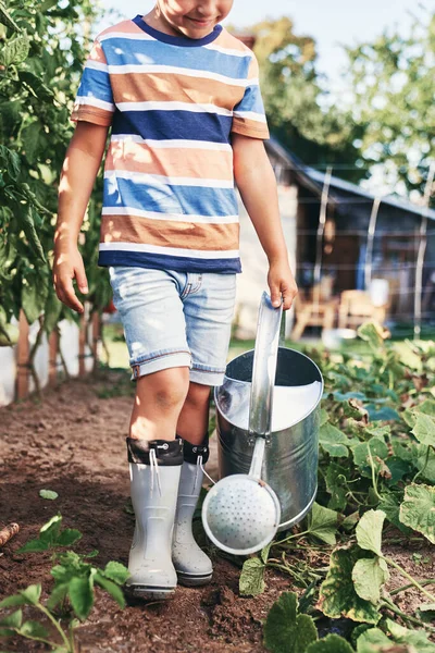 野菜の庭で散水缶で少年のクローズアップ — ストック写真