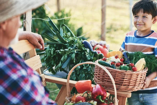 Grandfather Grandson Baskets Full Seasonal Vegetables — Stock Photo, Image