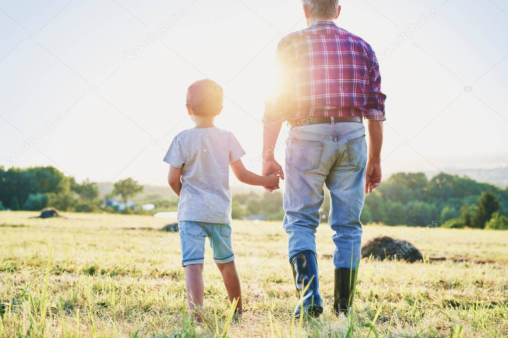 Rear view of grandfather and grandson walking at sunset                             
