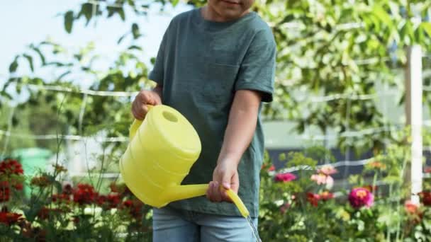 Video Boy Watering Vegetables Yellow Watering Can Shot Red Helium — Stock Video