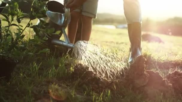 Close Video Van Besproeien Met Gieter Bij Zonsondergang Opgenomen Met — Stockvideo