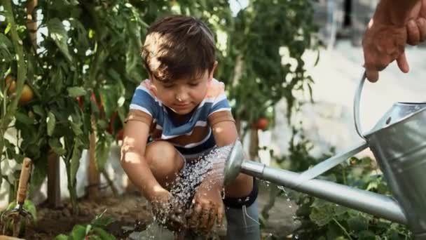 Vídeo Mano Niño Lavándose Las Manos Después Plantar Plántulas Fotografía — Vídeo de stock