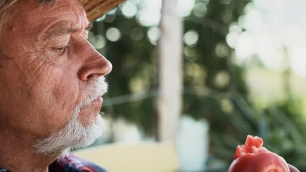 Κοντινό Βίντεο Τον Ηλικιωμένο Τρώει Ώριμες Ντομάτες Πυροβολήθηκε Κόκκινη Κάμερα — Αρχείο Βίντεο
