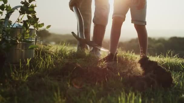 Video Del Abuelo Nieto Plantando Árbol Fotografía Con Cámara Helio — Vídeos de Stock