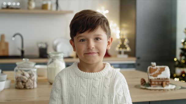 Portrait Video Little Boy Kitchen Shot Red Helium Camera — Stock Video