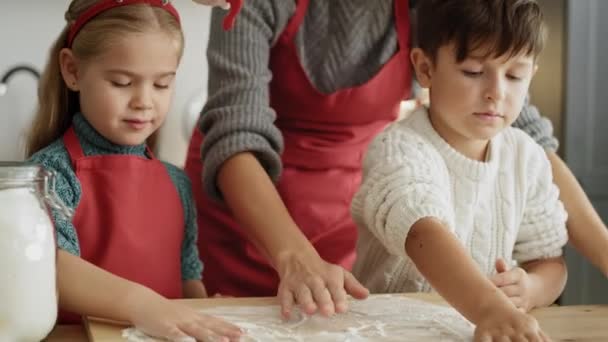 Video Mor Och Barn Förberedda För Jul Bakning Skjuten Med — Stockvideo