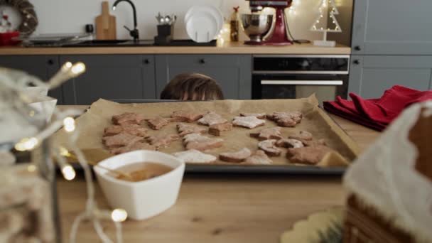 视频中的小男孩从桌子上偷姜饼饼干 用8K的红色氦相机拍摄 — 图库视频影像