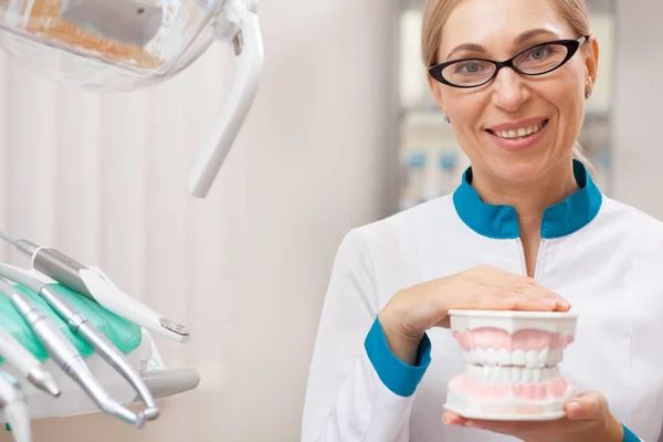 Mature female dentist smiling joyfully to the camera, holding denture model, posing at her office, copy space. Cheerful dentist holding dental mold. Friendly stomatologist at work. Dentistry concept