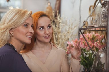 Female friends shopping at home goods store