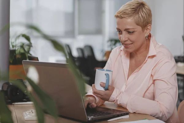 Mature businesswoman working at the office — 스톡 사진