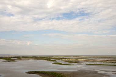 Marker Wadden, yeni bir Hollanda takımadası.