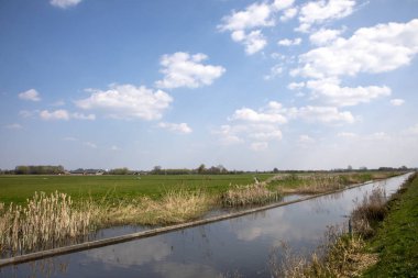 Tipik ortalama Hollanda kırsalı, tarım arazisi, bir kanal ile.
