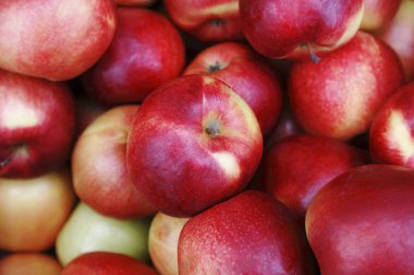 Kırmızı, Olgun elma hasat