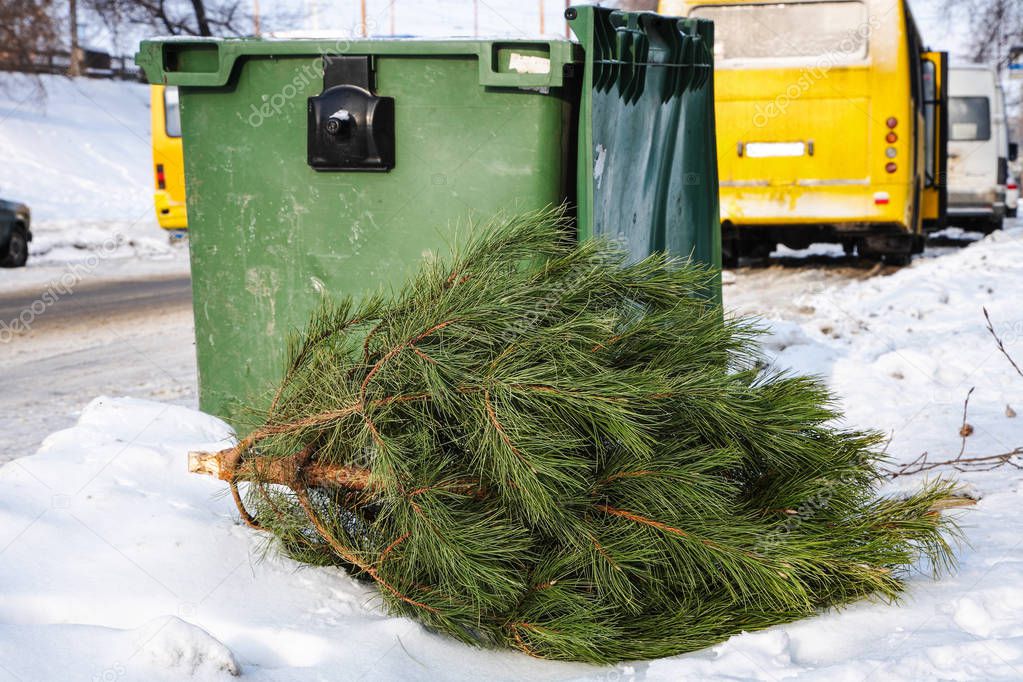 The thrown tree lies near the garbage can