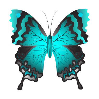 Beyaz bir arka plan üzerinde izole mavi kelebek kanatları üzerinde desenler ile vektör çizim