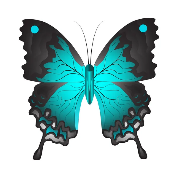 Векторная Иллюстрация Изолированной Голубой Бабочки Белом Фоне Узорами Крыльях — стоковый вектор