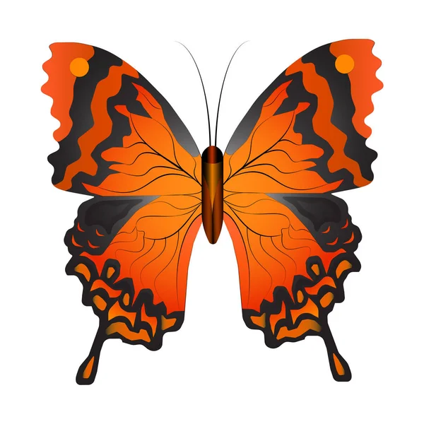 Ilustración Vectorial Mariposa Roja Aislada Sobre Fondo Blanco Con Patrones — Vector de stock