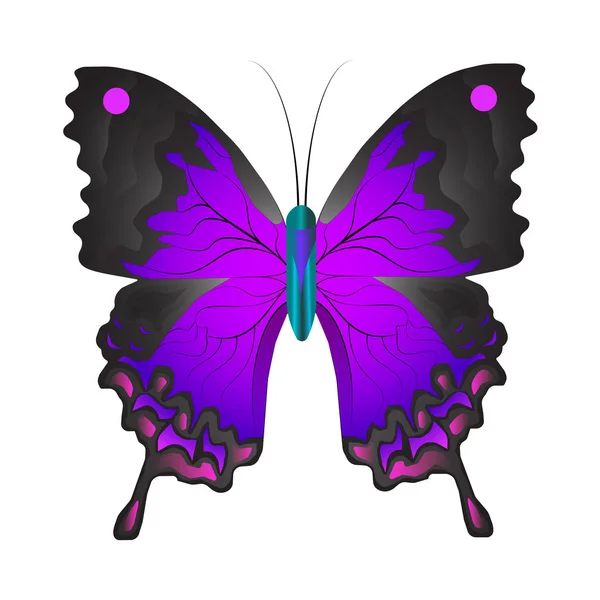 Illustrazione Vettoriale Della Farfalla Viola Isolata Sfondo Bianco Con Motivi — Vettoriale Stock