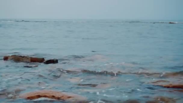 Kysten Med Gennemsigtigt Vand Sten Som Bølgen Finder – Stock-video
