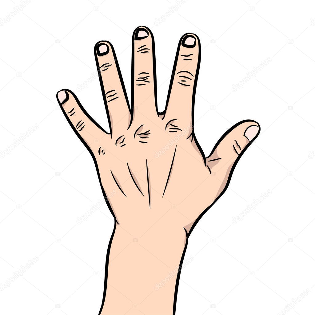 Vector illustration of a hand with the dug-out palm and fingers which are sticking out in the parties on a white background